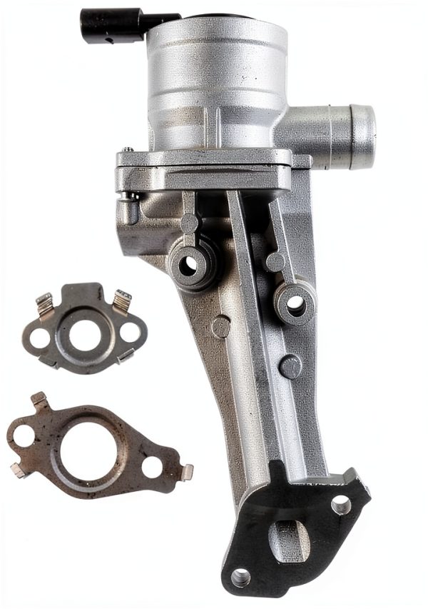 Stainless Steel GLOSSY AUTO PARTS Air Check Valve-5