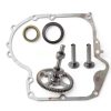 Briggs Stratton Camshaft Seal Replacement marddpair-0