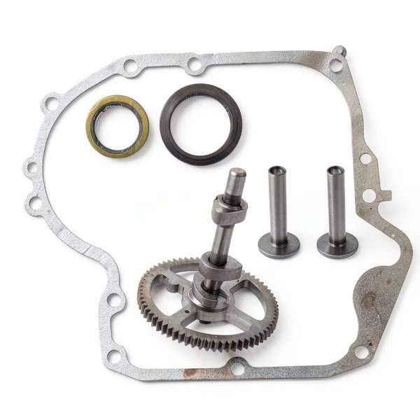 Briggs Stratton Camshaft Seal Replacement marddpair-0